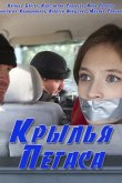Крылья Пегаса 2017