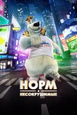 Норм и Несокрушимые 2015