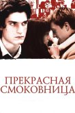 Прекрасная смоковница 2008