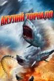 Акулий торнадо 2013