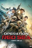 Операция в Красном море 2018
