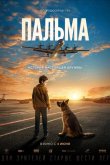 Пальма 2020