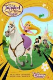 Рапунцель: Новая история 2017
