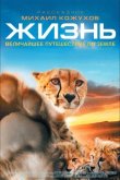 Жизнь 2011