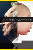 От колыбели до могилы 2017