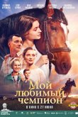 Мой любимый чемпион 2024