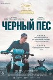 Чёрный пёс 2024