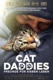 Котики 2022