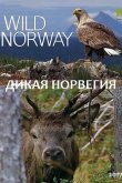 Дикая Норвегия 2017