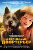 Мой любимый двортерьер 2024