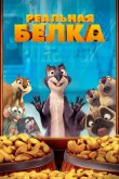 Реальная белка 2014