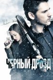 Черный дрозд 2011