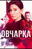 Овчарка 2024
