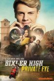 Детектив из школы Бикслер Вэлли 2019