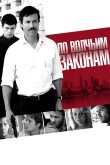 По волчьим законам 2009