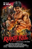 Убойное каратэ 2016