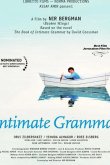 Внутренняя грамматика 2010