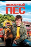 Пожарный пес 2006