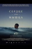 Сердце — это мышца 2025