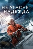 Не угаснет надежда 2013