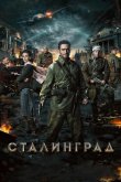 Сталинград 2013