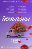 Тюльпаны 2026