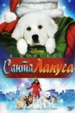 В поисках Санта Лапуса 2010