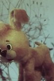 Как щенок учился плавать 1984