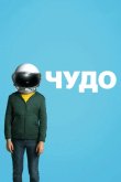 Чудо 2017