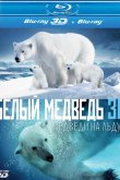 Полярные медведи 2012