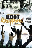 Цвет шафрана 2006