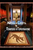 Жизнь и смерть в Помпеях и Геркулануме 2013