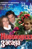 Новогодняя засада 2009