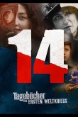 Дневники великой войны 2014