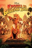 Крошка из Беверли-Хиллз 2008