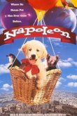 Наполеон 1995
