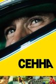 Сенна 2010