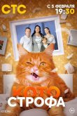 Котострофа 2023