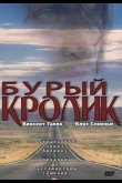 Бурый кролик 2003