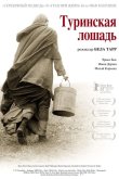Туринская лошадь 2011