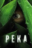 Река 2012