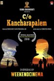Истории из Канчарапалема 2018