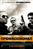 Профессионал 2011