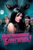 Девственники, берегитесь! 2012