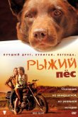 Рыжий пес 2011