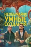 Необычайно умные создания 2026