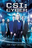 CSI: Киберпространство 2015