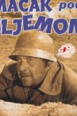 Кот под шлемом 1962