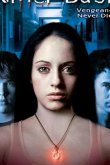 Убийственный удар (ТВ) 2005
