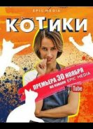 Котики